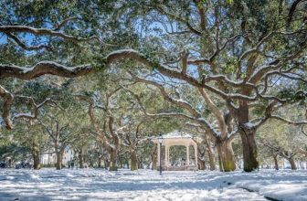 Exploring the Lowcountry This Winter